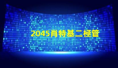 2045肖特基二極管參數(shù)揭秘其性能與應(yīng)用優(yōu)勢