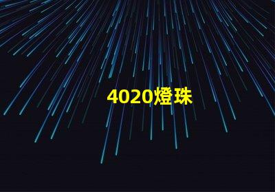 4020燈珠