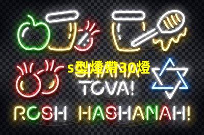 s型燈帶30燈