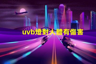 uvb燈對人體有傷害嗎深入解析UVB燈對皮膚健康的影響