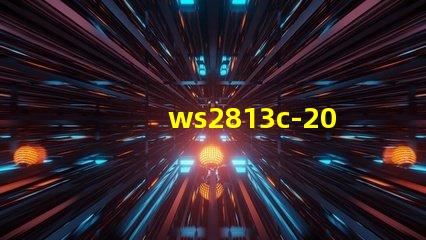 ws2813c-2020