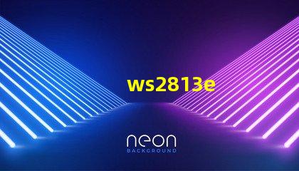 ws2813e
