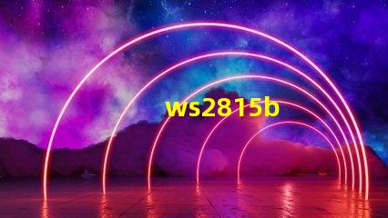 ws2815b