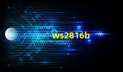 ws2816b