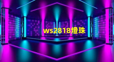 ws2818燈珠