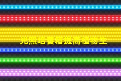 光照培養箱提高植物生長效率的關鍵設備