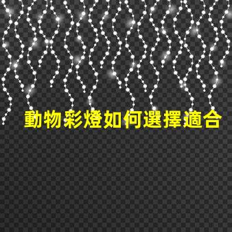 動物彩燈如何選擇適合的動物彩燈設計