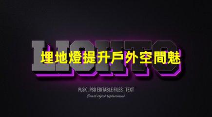 埋地燈提升戶外空間魅力的照明解決方案