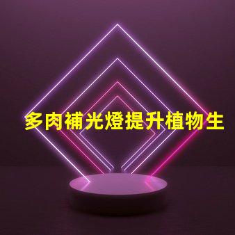 多肉補光燈提升植物生長的光源解決方案