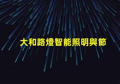 大和路燈智能照明與節(jié)能的完美結(jié)合
