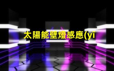 太陽能壁燈感應(yīng)提升戶外安全性的智能選擇