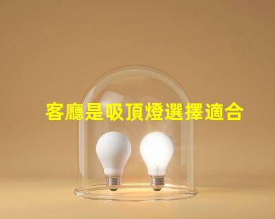 客廳是吸頂燈選擇適合的吸頂燈提升家居氛圍嗎