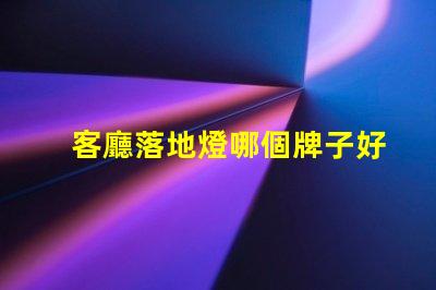 客廳落地燈哪個牌子好優(yōu)質落地燈品牌推薦與比較