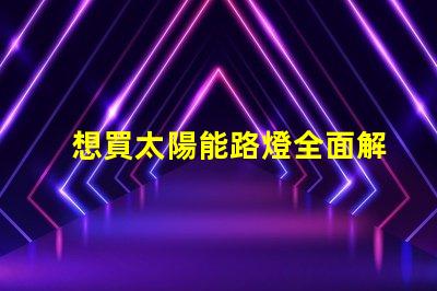想買太陽能路燈全面解析太陽能路燈的優勢與選擇指南