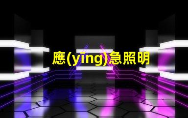 應(yīng)急照明和疏散指示提升安全性的重要設(shè)施解析
