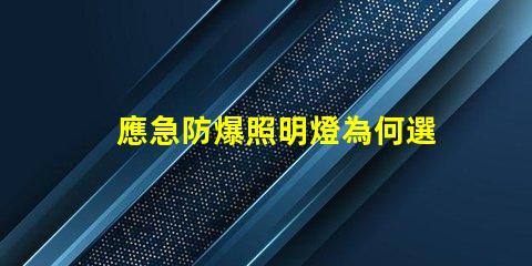 應急防爆照明燈為何選擇高效能應急燈具
