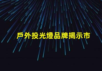 戶外投光燈品牌揭示市場領先品牌的秘密