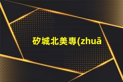 矽城北美專(zhuān)利