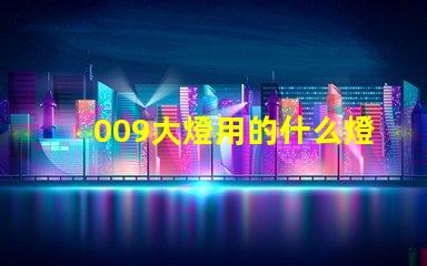 009大燈用的什么燈珠