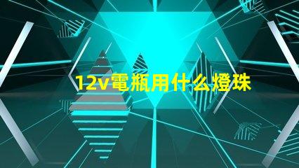 12v電瓶用什么燈珠