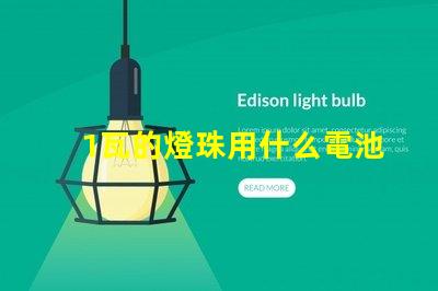 1瓦的燈珠用什么電池
