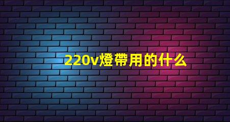 220v燈帶用的什么燈珠