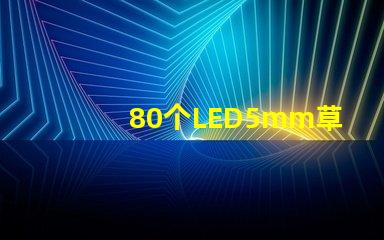 80個LED5mm草帽燈珠配多大驅動器？