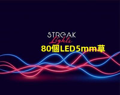 80個LED5mm草帽燈珠配多大驅動器？