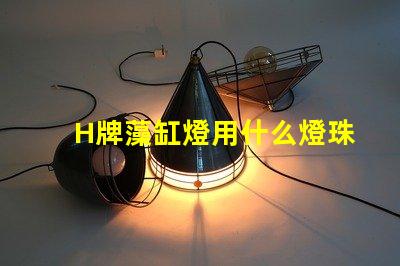 H牌藻缸燈用什么燈珠