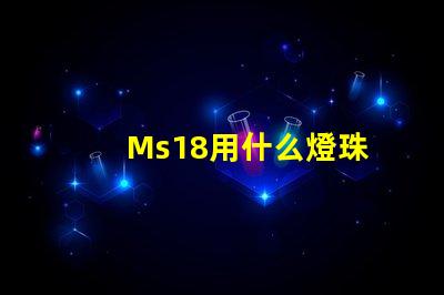 Ms18用什么燈珠