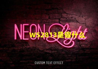 WS2813是個什么玩意？