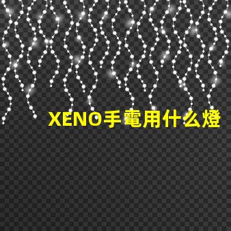 XENO手電用什么燈珠