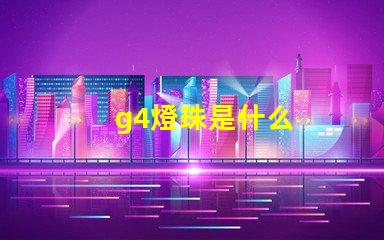g4燈珠是什么
