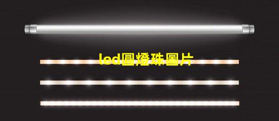 led圓燈珠圖片