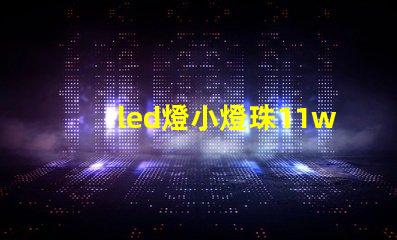 led燈小燈珠11w