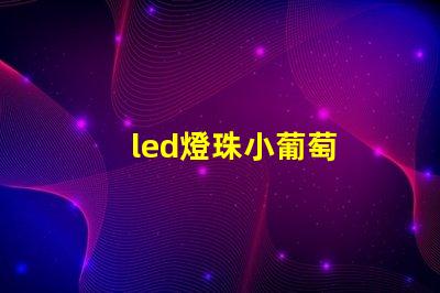 led燈珠小葡萄