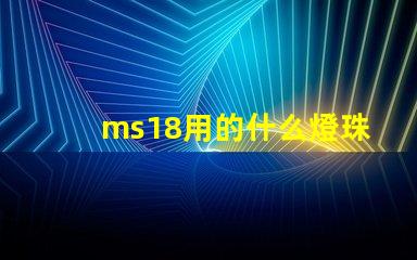 ms18用的什么燈珠