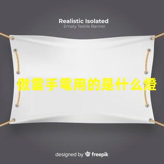 傲雷手電用的是什么燈珠