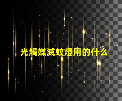 光觸媒滅蚊燈用的什么燈珠