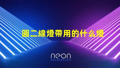 圓二線燈帶用的什么燈珠