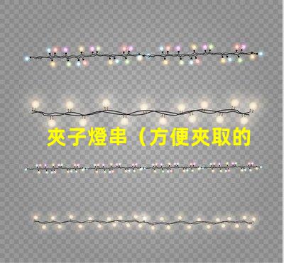 夾子燈串（方便夾取的燈串）