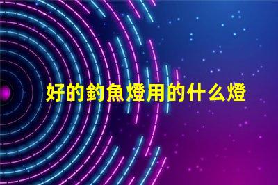 好的釣魚燈用的什么燈珠