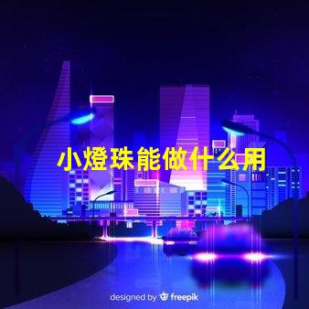 小燈珠能做什么用