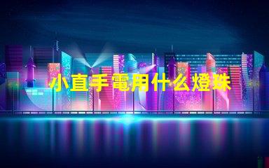 小直手電用什么燈珠