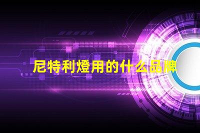 尼特利燈用的什么品牌燈珠