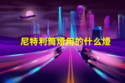 尼特利筒燈用的什么燈珠