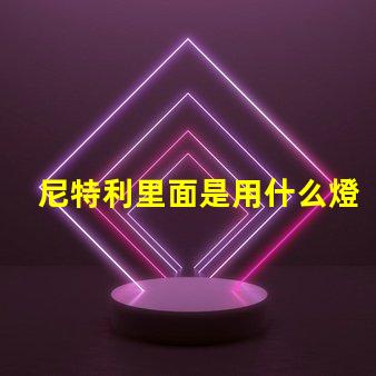 尼特利里面是用什么燈珠