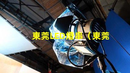 東莞LED燈串（東莞LED燈串供應商）