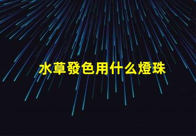 水草發色用什么燈珠