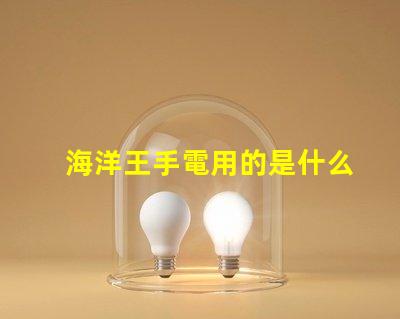 海洋王手電用的是什么燈珠